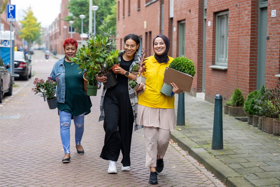 Bericht Meer groen in Schilderswijk: 'Planten zijn gezelliger dan steen!' bekijken
